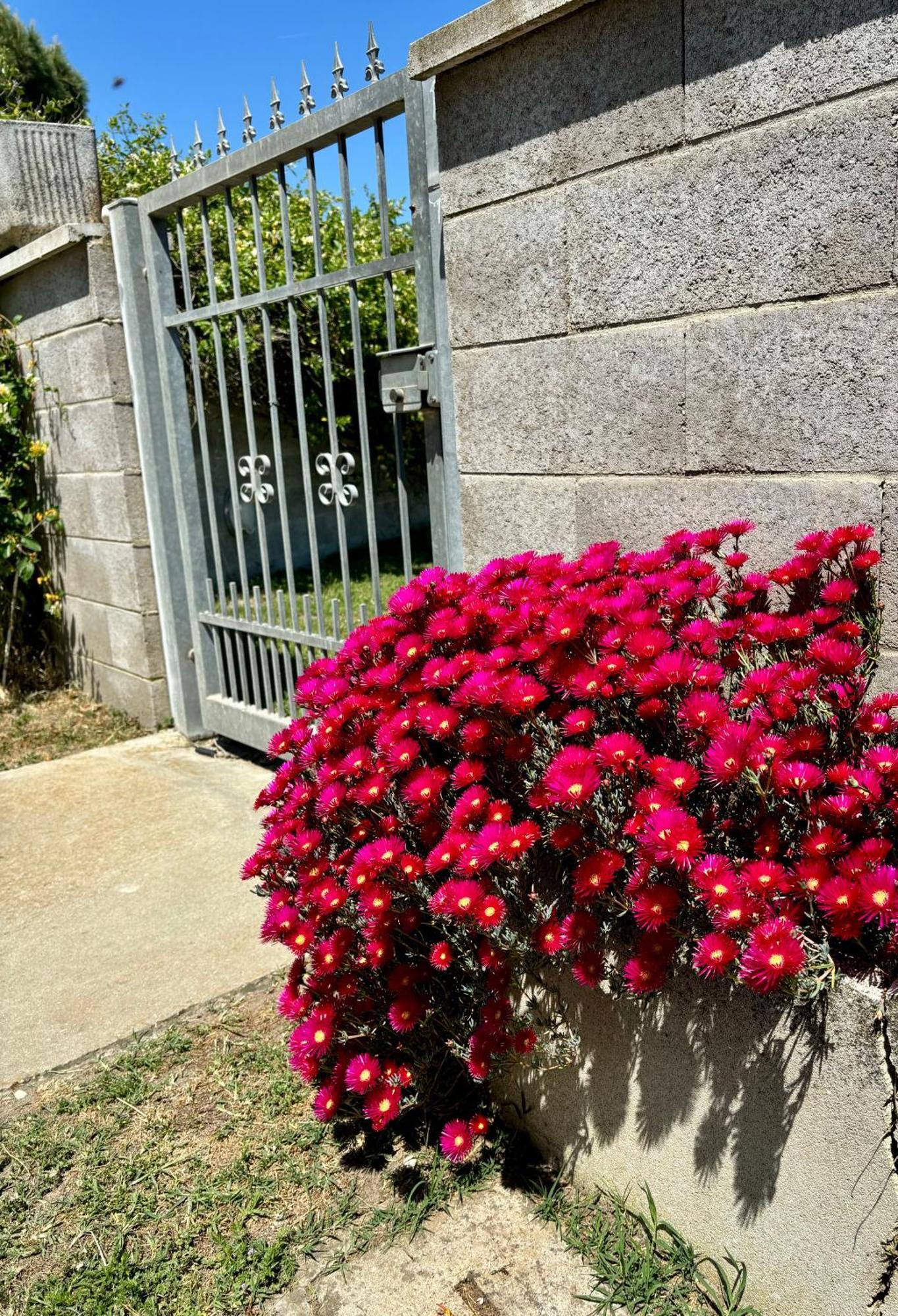 Tra Campagna E Mare Bed & Breakfast Lido delle Nazioni Exterior photo